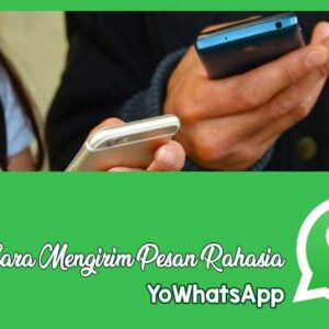 aplikasi yowhatsapp knpi