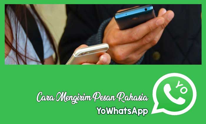 aplikasi yowhatsapp knpi