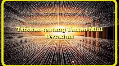 Tafsiran tentang Taman Mini Terrarium