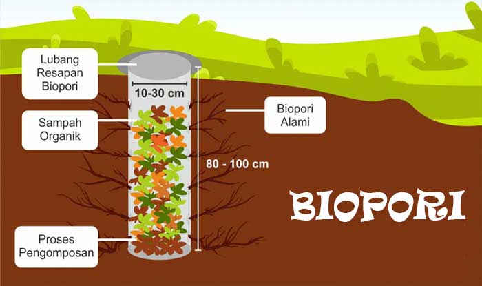manfaat biopori