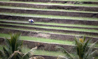 Sektor Pertanian Nasional