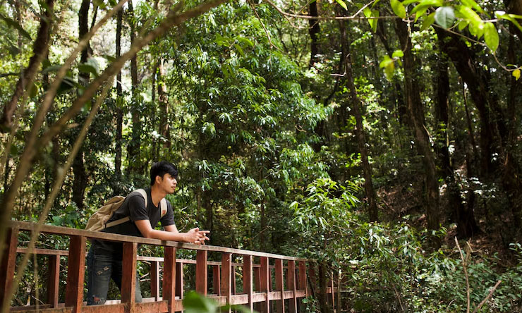 Taman Nasional
